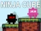 Permainan Kubah Ninja secara online