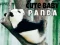 Permainan Panda Bayi Lucu secara online