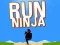 Permainan Lari Ninja secara online