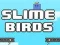 Permainan Burung Slime secara online