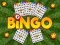 Permainan Bingo Terungkap secara online