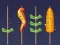 Permainan Pertandingan Barbecue secara online