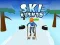 Permainan Ski Rush 3D secara online