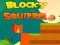 Permainan Squirrel Blok secara online