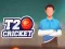 Permainan Kriket T20 secara online
