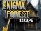 Permainan Bolos dari Hutan Enigma secara online