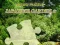 Permainan Puzzle Taman Jepang 2 secara online