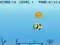 Permainan Survival Ikan secara online Permainan Survival Ikan secara online