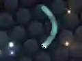 Permainan Slither.io secara online