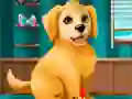 Permainan Jadilah Pekerja Grooming Anak Anjing secara online Permainan Jadilah Pekerja Grooming Anak Anjing secara online