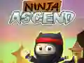 Permainan Ninja Naik secara online