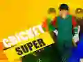 Permainan Kriket Super secara online Permainan Kriket Super secara online