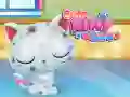 Permainan Perawatan Kucing Imut secara online Permainan Perawatan Kucing Imut secara online