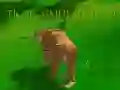 Permainan Simulator Harimau 3D secara online