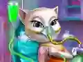 Permainan Misi Kucing: Kecelakaan ER secara online Permainan Misi Kucing: Kecelakaan ER secara online