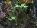Permainan Hutan senja mistis secara online
