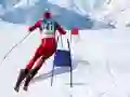 Permainan Simulator Ski Slalom secara online Permainan Simulator Ski Slalom secara online