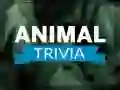 Permainan Trivia Hewan secara online
