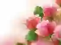 Permainan Mawar Pink secara online Permainan Mawar Pink secara online