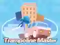 Permainan Master Trampolin secara online Permainan Master Trampolin secara online