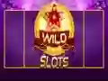 Permainan Slot Liar secara online Permainan Slot Liar secara online