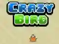 Permainan Burung Gila secara online Permainan Burung Gila secara online