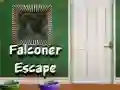 Permainan Pelarian Falconer secara online