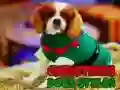 Permainan Gaya Anjing Natal secara online