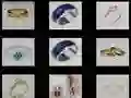 Permainan Memori Cincin secara online Permainan Memori Cincin secara online