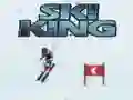 Permainan Raja Ski secara online Permainan Raja Ski secara online