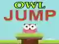 Permainan Lompatan Burung Hantu secara online
