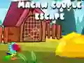 Permainan Pelarian Pasangan Macaw secara online Permainan Pelarian Pasangan Macaw secara online