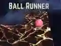 Permainan Pelari bola secara online Permainan Pelari bola secara online