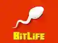 Permainan BitLife secara online