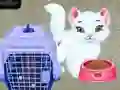 Permainan Perawatan Hewan Peliharaan Baby Taylor secara online Permainan Perawatan Hewan Peliharaan Baby Taylor secara online