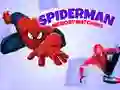Permainan Permainan Memori Spiderman secara online
