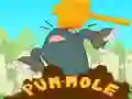 Permainan Pum-Mole secara online Permainan Pum-Mole secara online