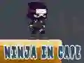 Permainan Ninja dalam Jubah secara online