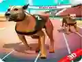 Permainan Balapan Anjing Gila secara online Permainan Balapan Anjing Gila secara online
