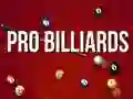 Permainan Biliar Profesional secara online Permainan Biliar Profesional secara online