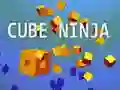 Permainan Ninja Kubus secara online