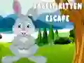 Permainan Pelarian Kelinci dan Kucing Kecil secara online Permainan Pelarian Kelinci dan Kucing Kecil secara online