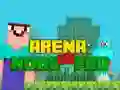 Permainan Arena: Noob vs Pro secara online