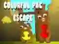 Permainan Pelarian Pac Berwarna secara online
