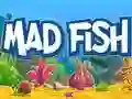 Permainan Ikan Gila secara online