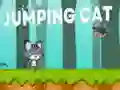 Permainan Kucing Melompat secara online