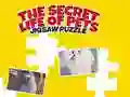 Permainan Kehidupan Rahasia Hewan Peliharaan: Puzzle secara online