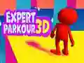 Permainan Ahli Parkour 3D secara online Permainan Ahli Parkour 3D secara online