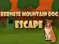 Permainan Pelarian Anjing Gunung Bernese secara online