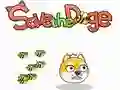 Permainan Simpan Doge secara online Permainan Simpan Doge secara online